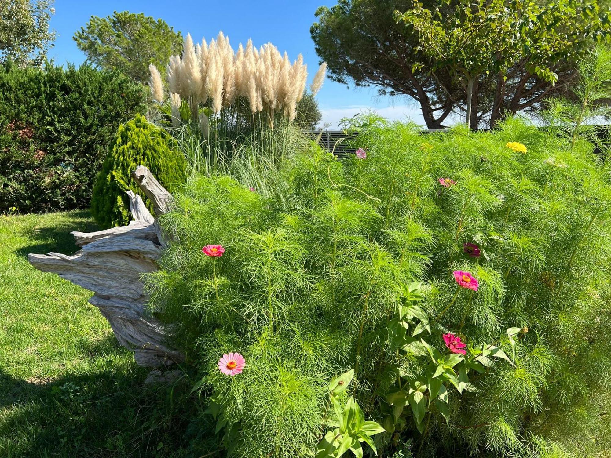 Villa Sol Peralada Golf Exteriér fotografie